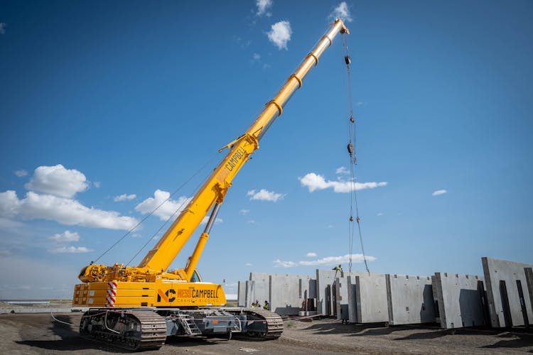 Success Stories From the Crane World: February 2024