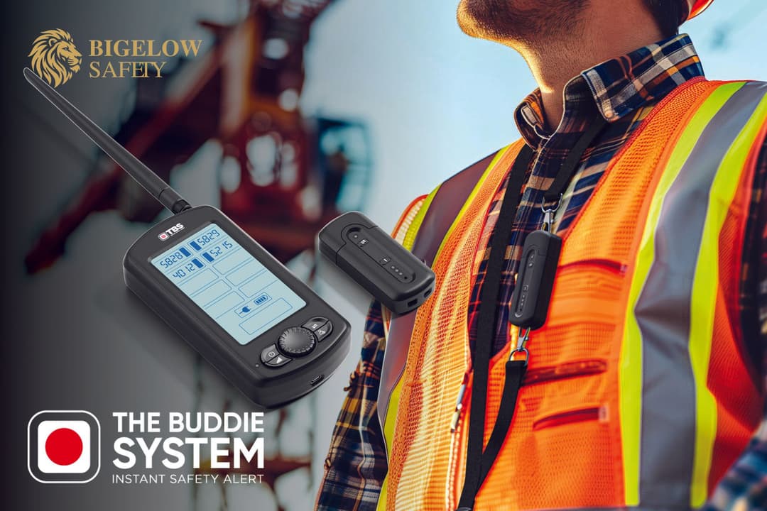 bigelow safety the buddie system